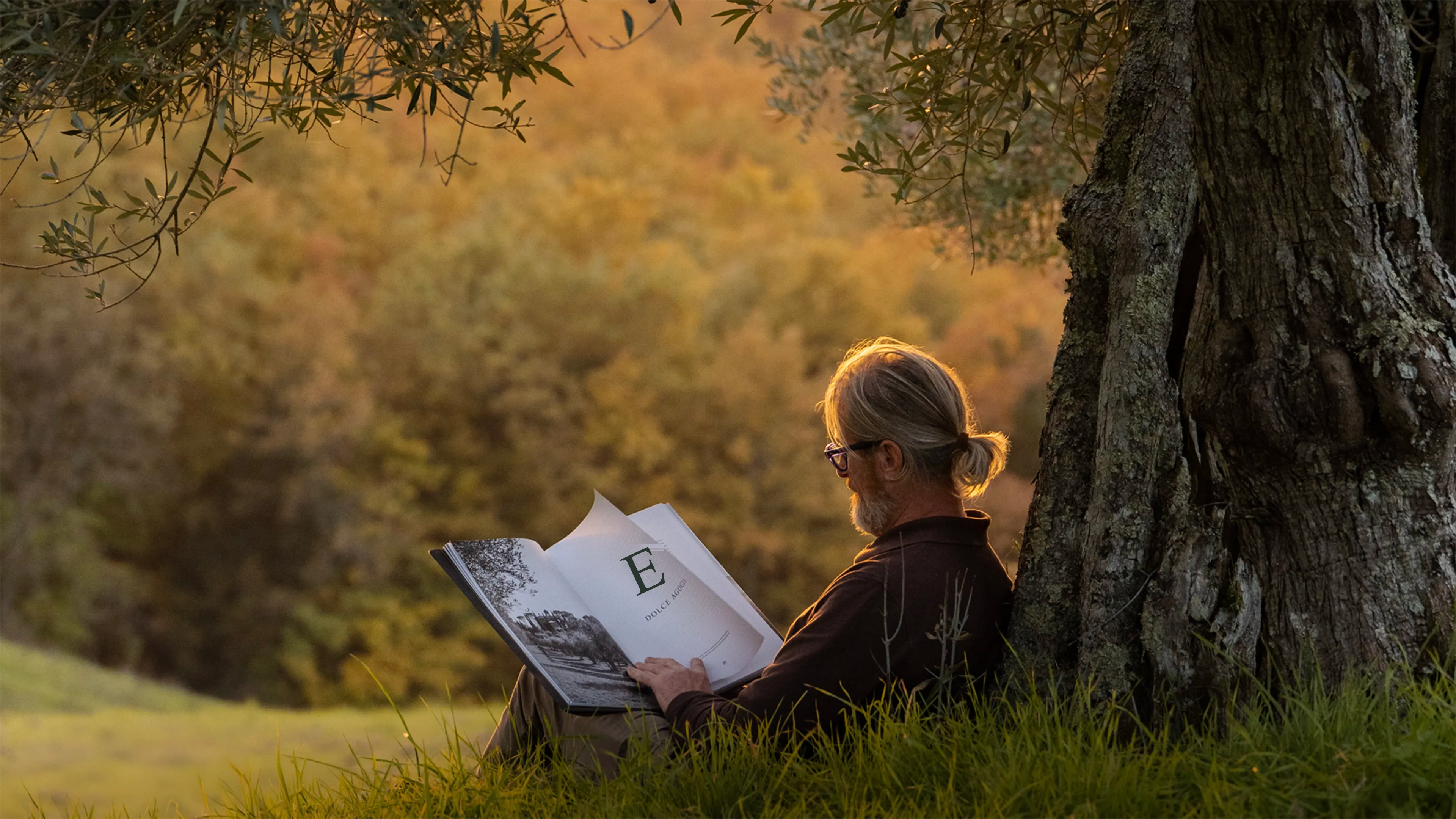 Reading under an olive tree at golden hour